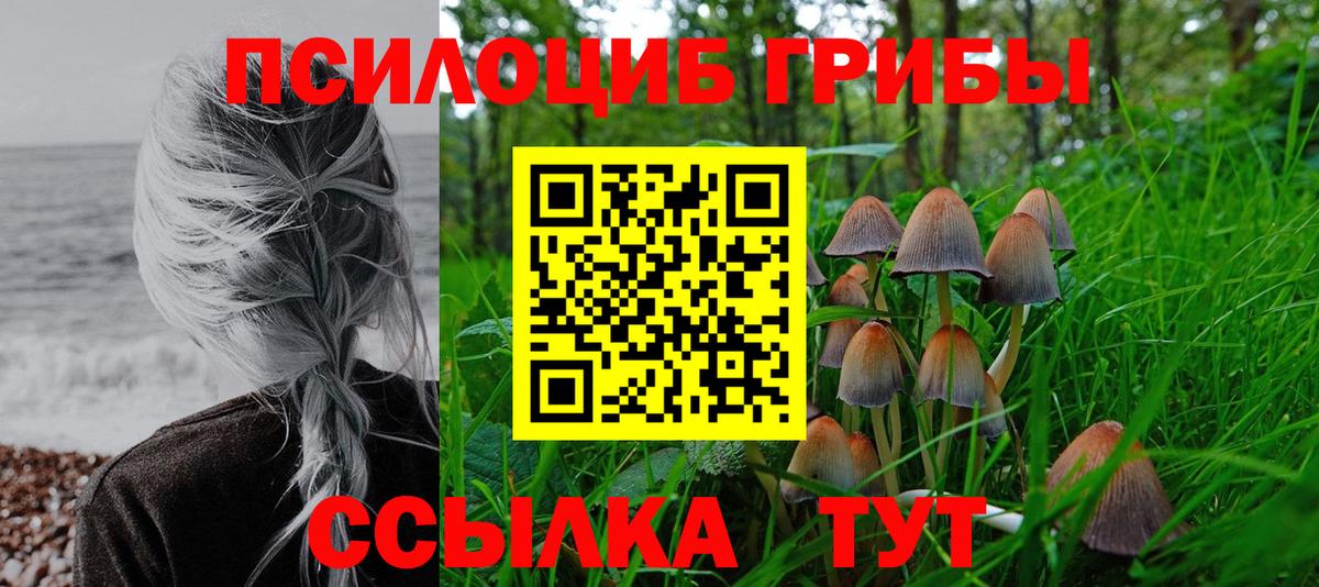 Нягань  Псилоцибиновые грибы Psilocybe  Вход с VPN 